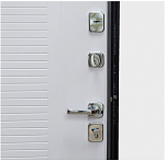 Дверь Цербер R-27 Только 96 DIS007137 фото